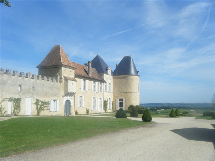Chateau Yquem-crop-v2.JPG